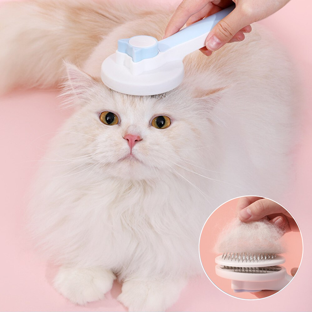 brosse-pour-chat-bleu