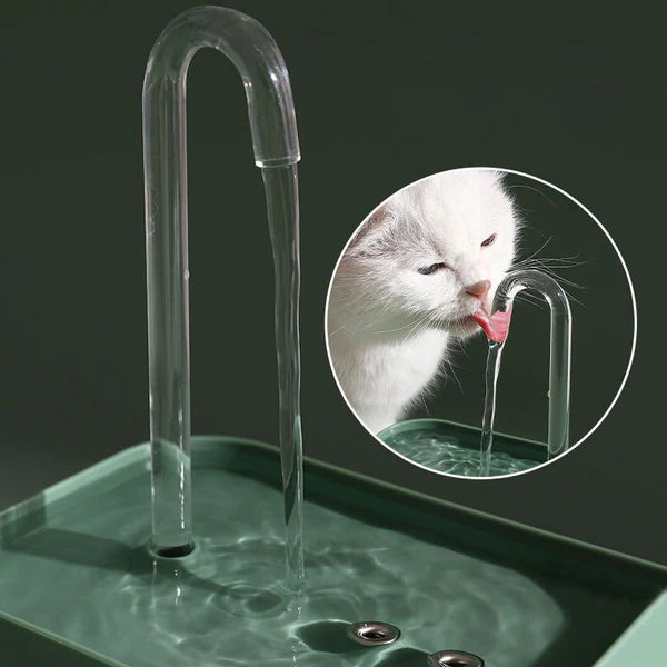 fontaine-à-eau-pour-chat-débit