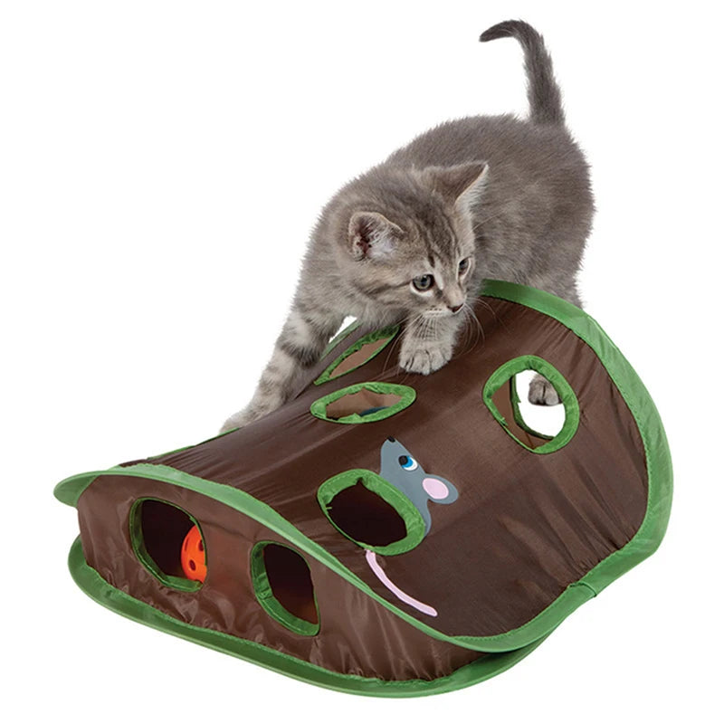 jeu de cache cache pour chat | CatCache™