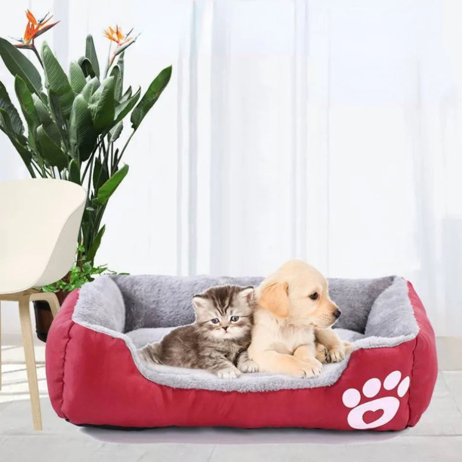 Lit Chat | CatBed™