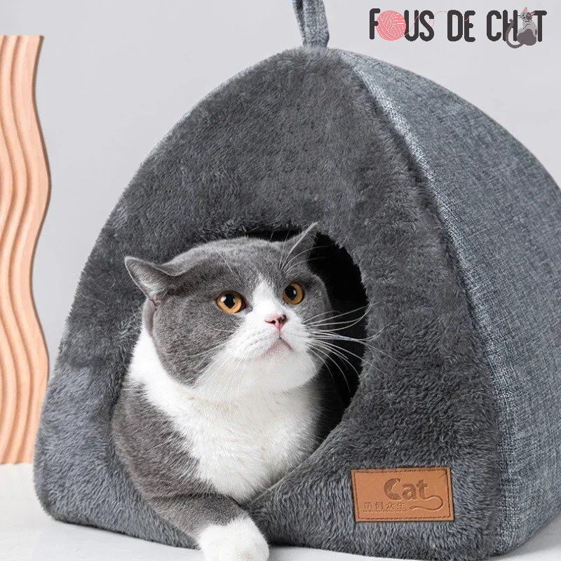 abri-pour-chat-chaleur