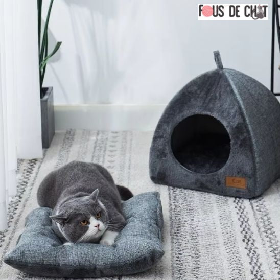 abri-pour-chat-design