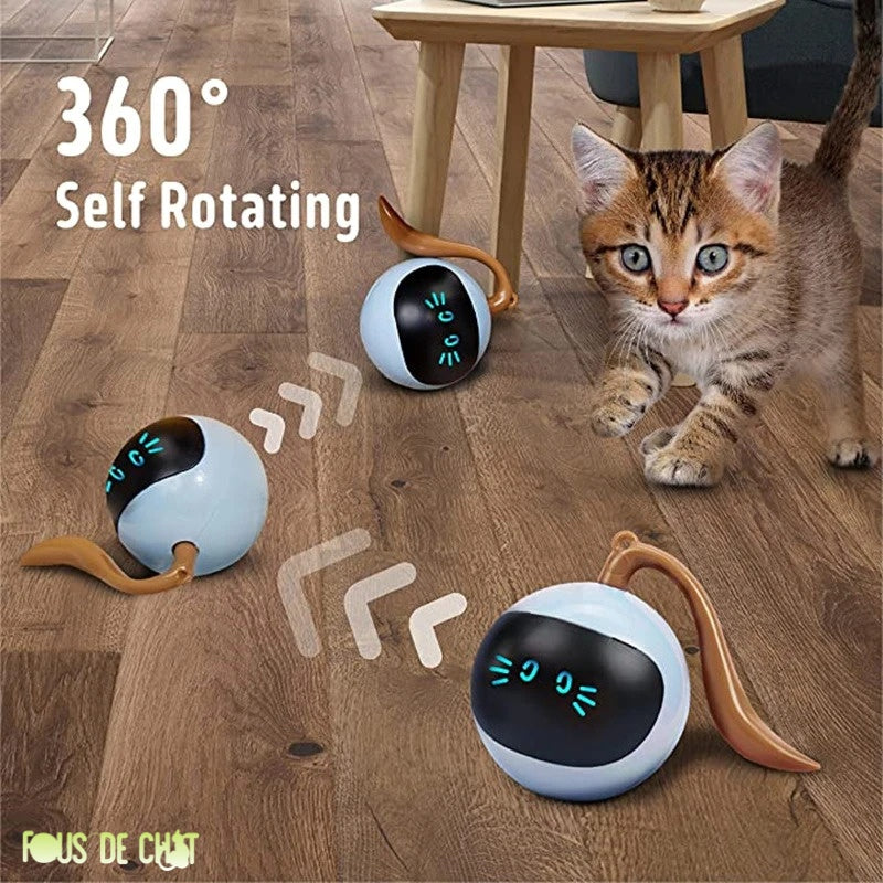 balle-interactive-chat-360