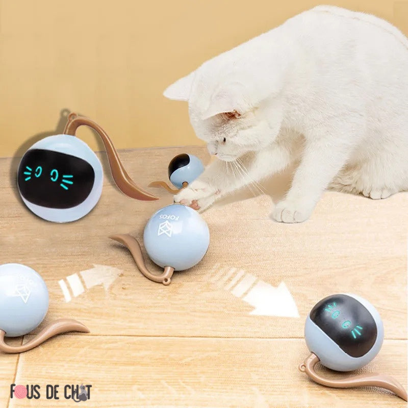 balle-interactive-chat-rotative