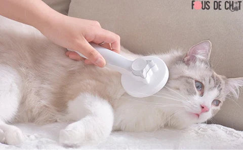 brosse-pour-chat-grise