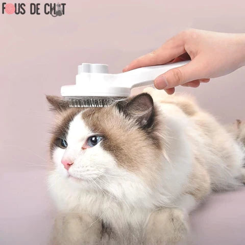 brosse-pour-chat-hygiène