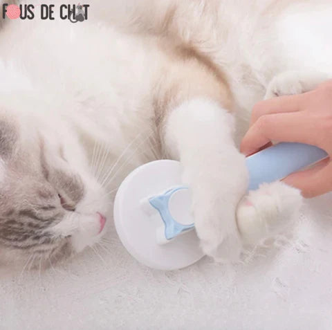 brosse-pour-chat-jeu