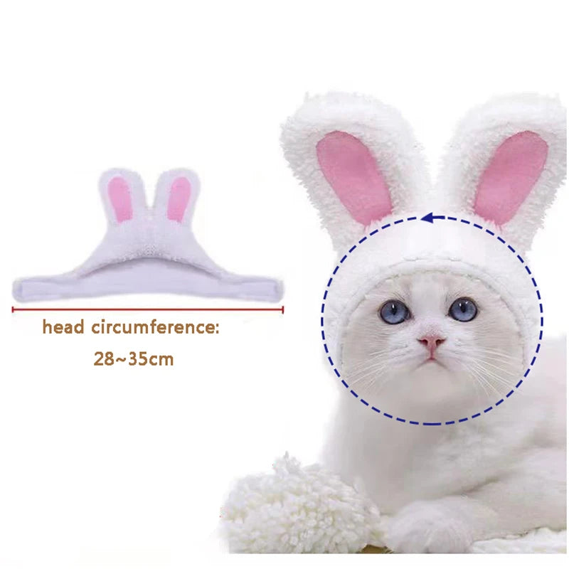 chapeau-de-lapin-pour-chat-mesure