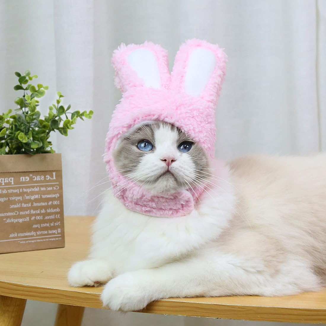 chapeau-de-lapin-pour-chat-rose