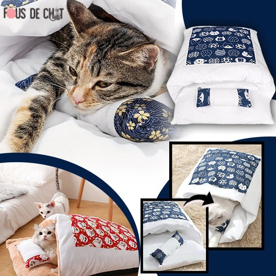 coussin-chat-moelleux