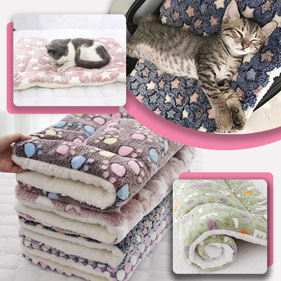 couverture-pour-chat-chaleur