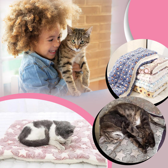 couverture-pour-chat-confort