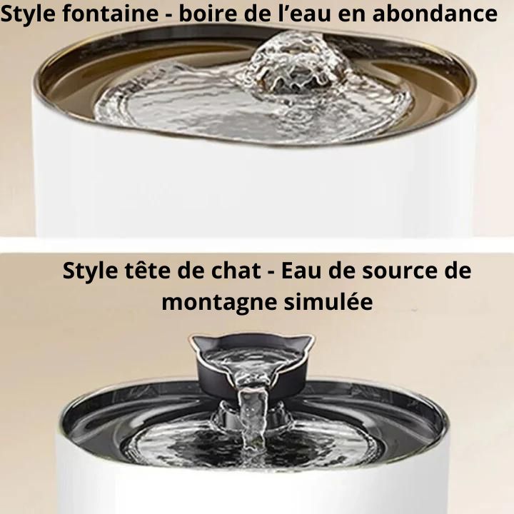 Fontaine A Eau Chat | KittyCascade™