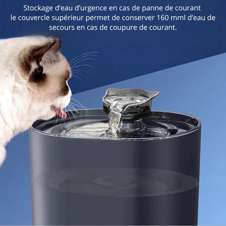 fontaine-a-eau-chat-sécurité