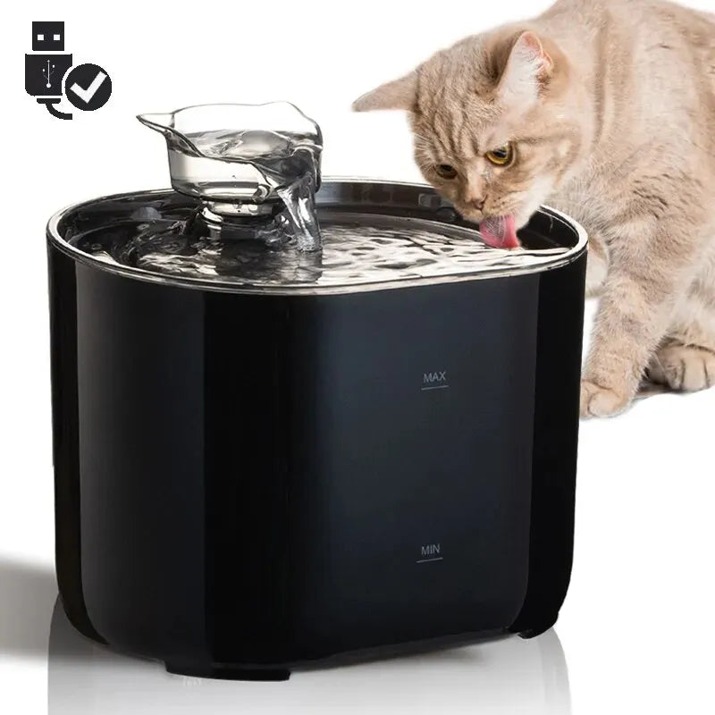 fontaine-a-eau-chat