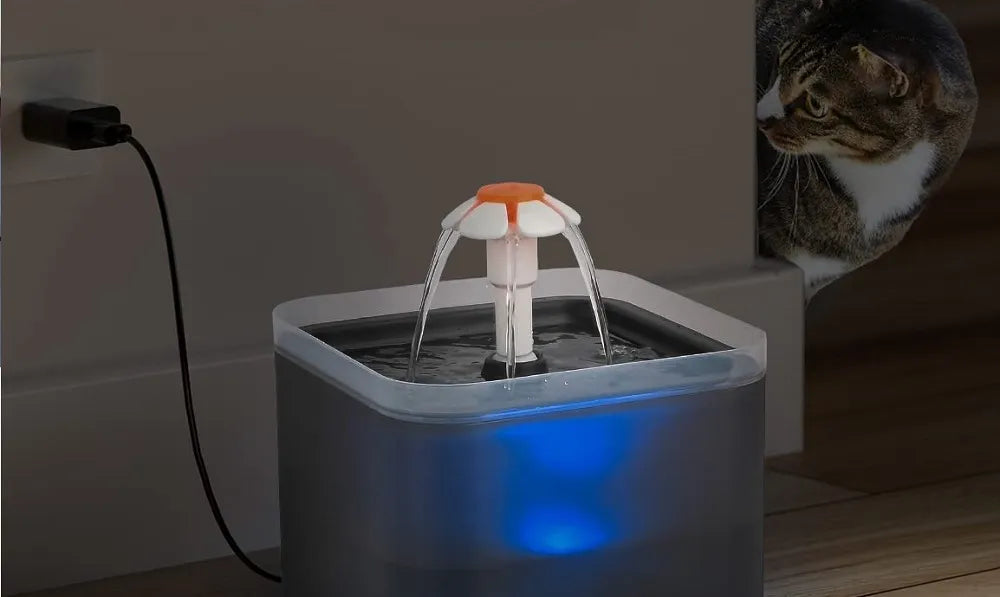 fontaine-à-eau-pour-chat-éclairage-led