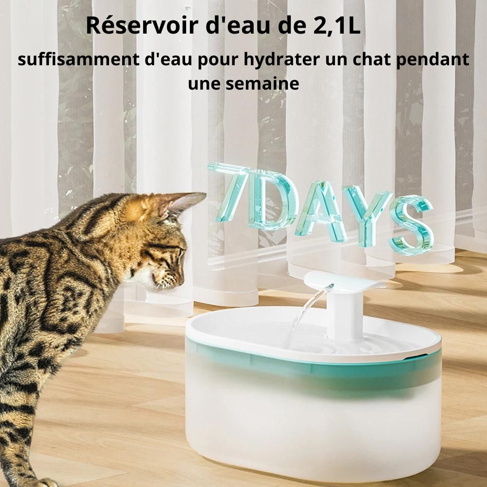 fontaine-à-eau-pour-chat-réservoir