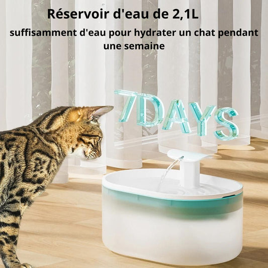 fontaine-à-eau-pour-chat-réservoir