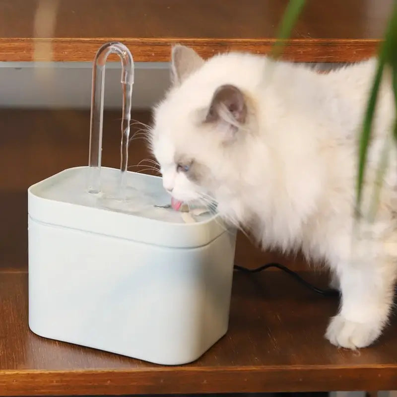 fontaine-à-eau-pour-chat-silencieuse