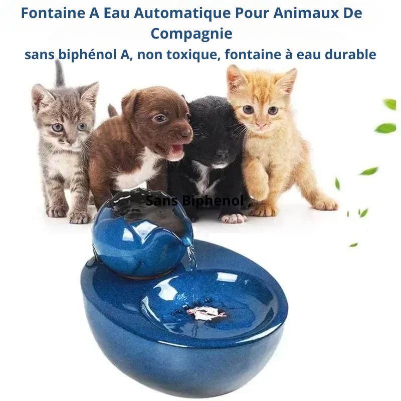 fontaine-à-eau-pour-chat