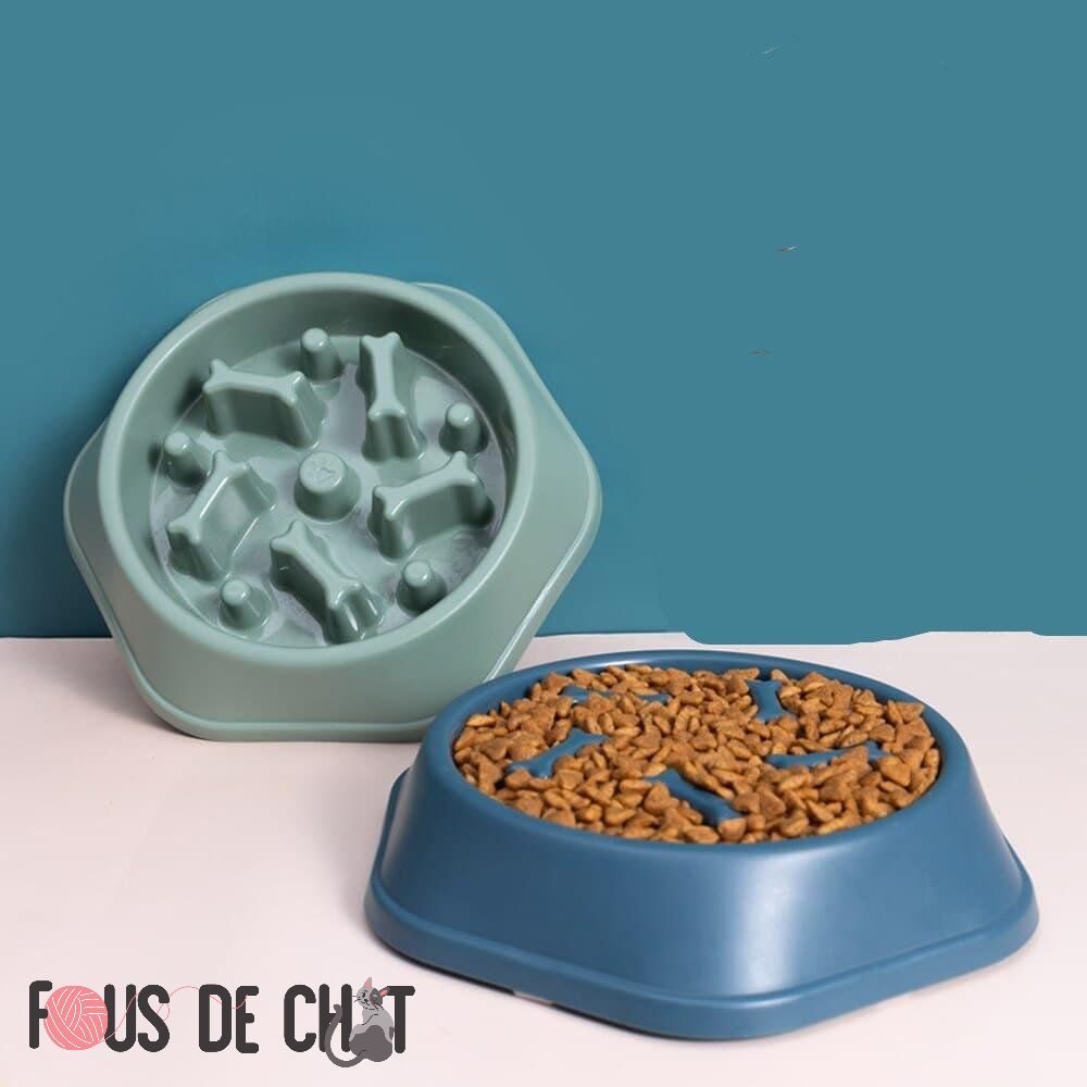 gamelle-anti-glouton-chat-alimentation