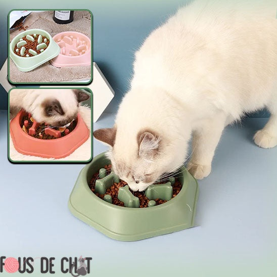 gamelle-anti-glouton-chat-design