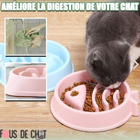 gamelle-anti-glouton-chat-hygiene