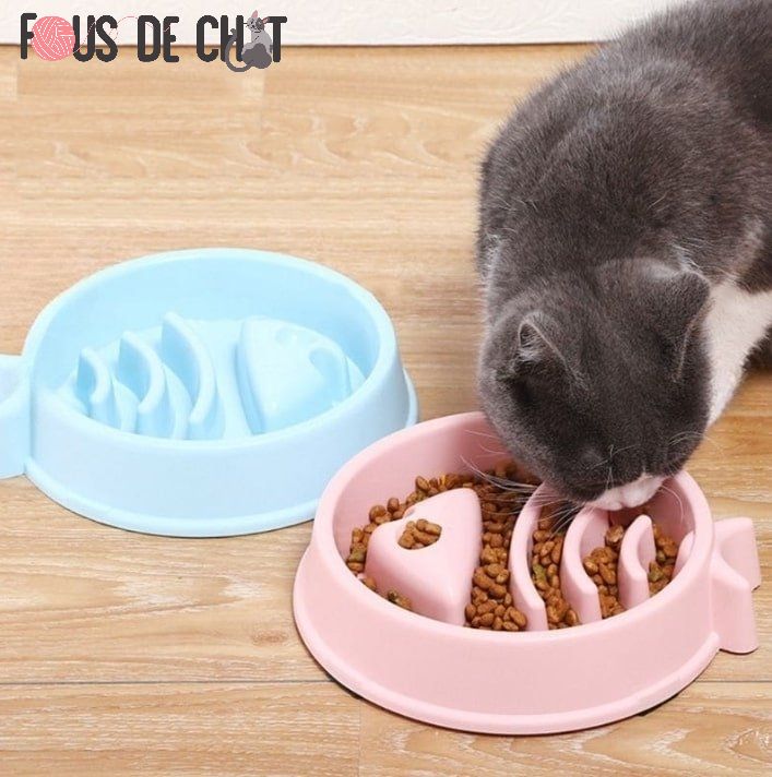 gamelle-anti-glouton-chat-repas