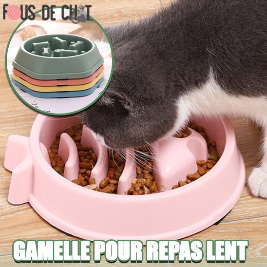 gamelle-anti-glouton-chat