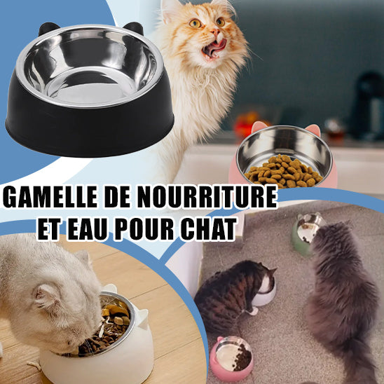 gamelle-chat-nourriture