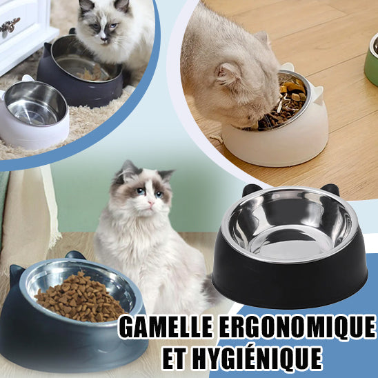 gamelle-chat