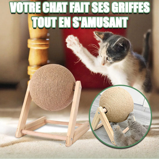 griffoir-chat-jeu