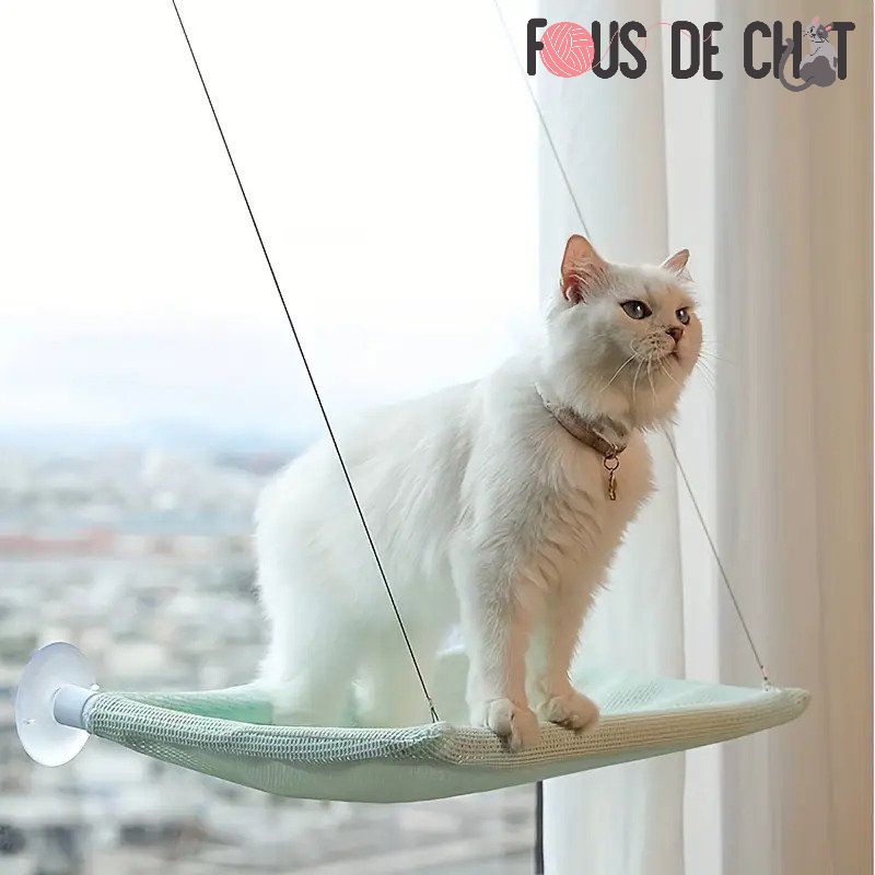 hamac-pour-chat-avis