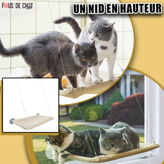 hamac-pour-chat-hauteur