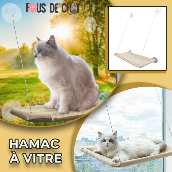 hamac-pour-chat-vitre