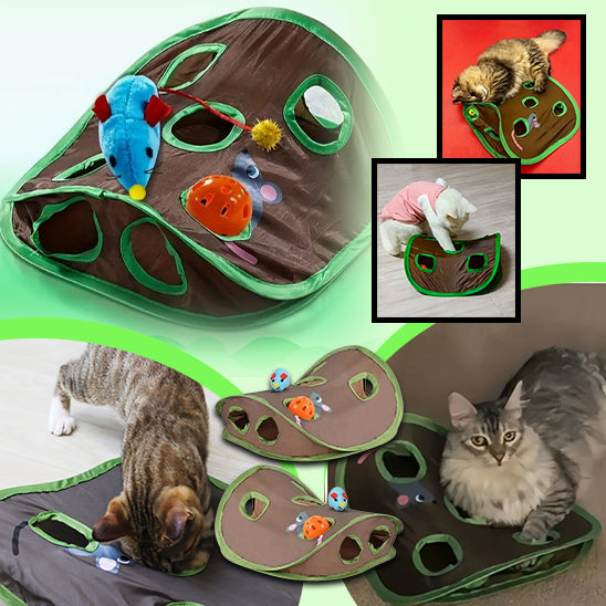 jeu-de-cache-cache-pour-chat-design