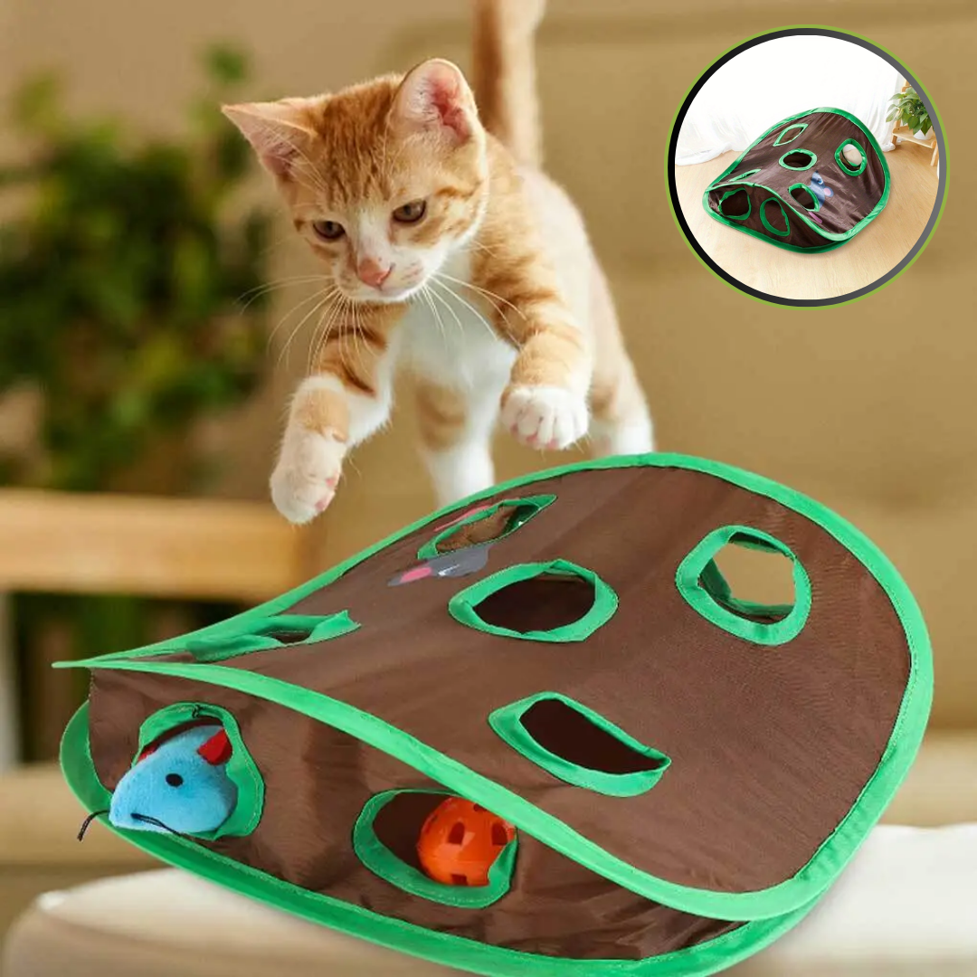 jeu-de-cache-cache-pour-chat-divertir