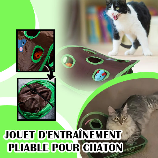 jeu-de-cache-cache-pour-chat-interactif