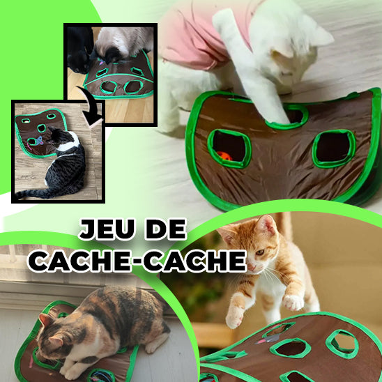 jeu-de-cache-cache-pour-chat