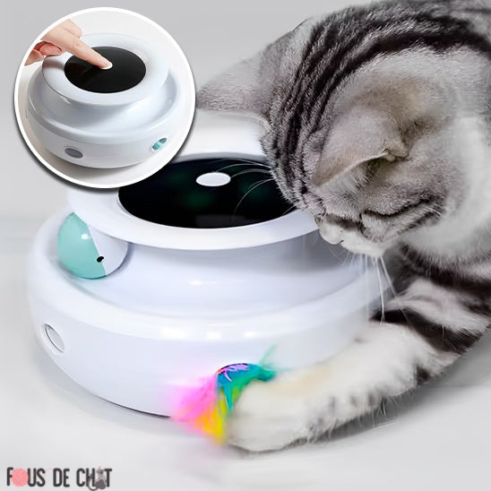 jouet-automatique-pour-chat-balles_bf64ca25-ab40-41b9-b418-a76cf4d50039