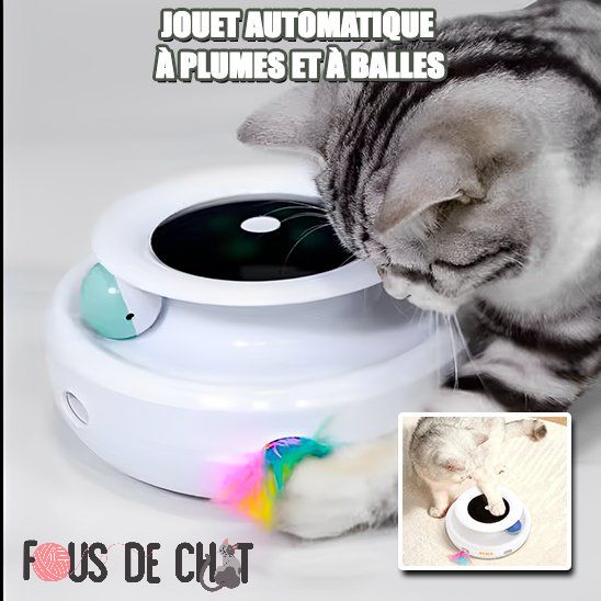 jouet-automatique-pour-chat-plumes_7f203f89-aafe-47d2-a303-ef320fb433ca