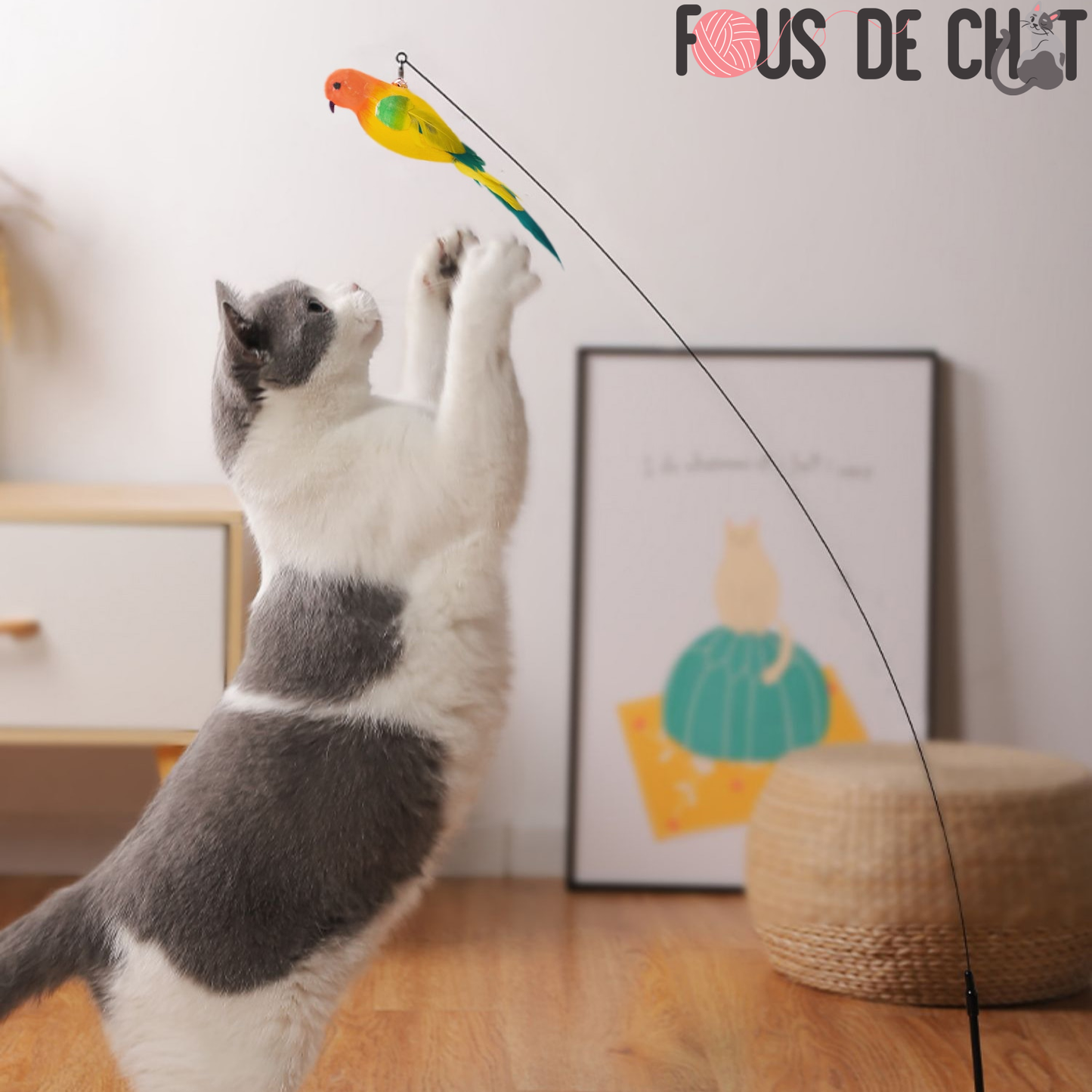 jouet-pour-chat-oiseau-agilité