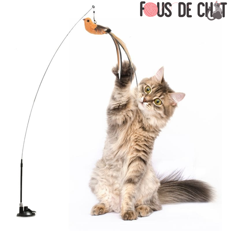 Jouet pour Chat | Catbird™