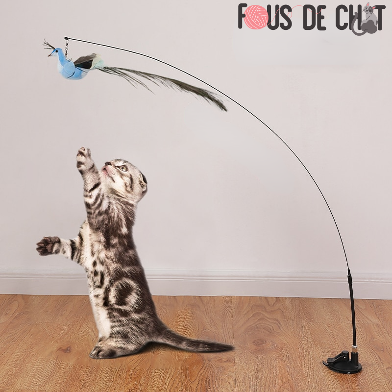 jouet-pour-chat-oiseau-bleu