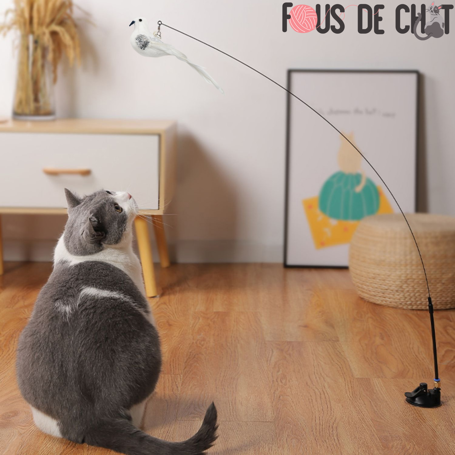 jouet-pour-chat-oiseau-divertissement