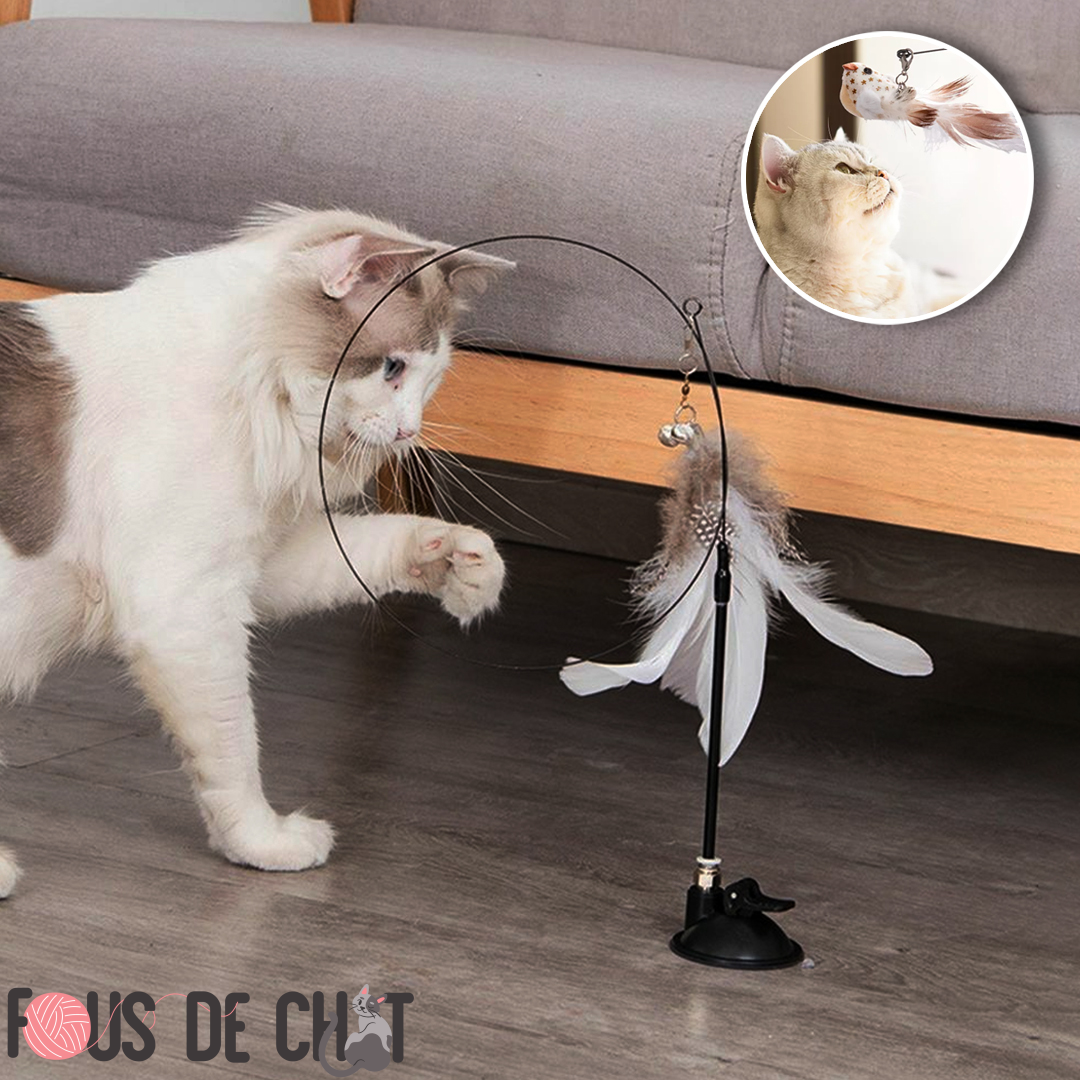 jouet-pour-chat-plaisir