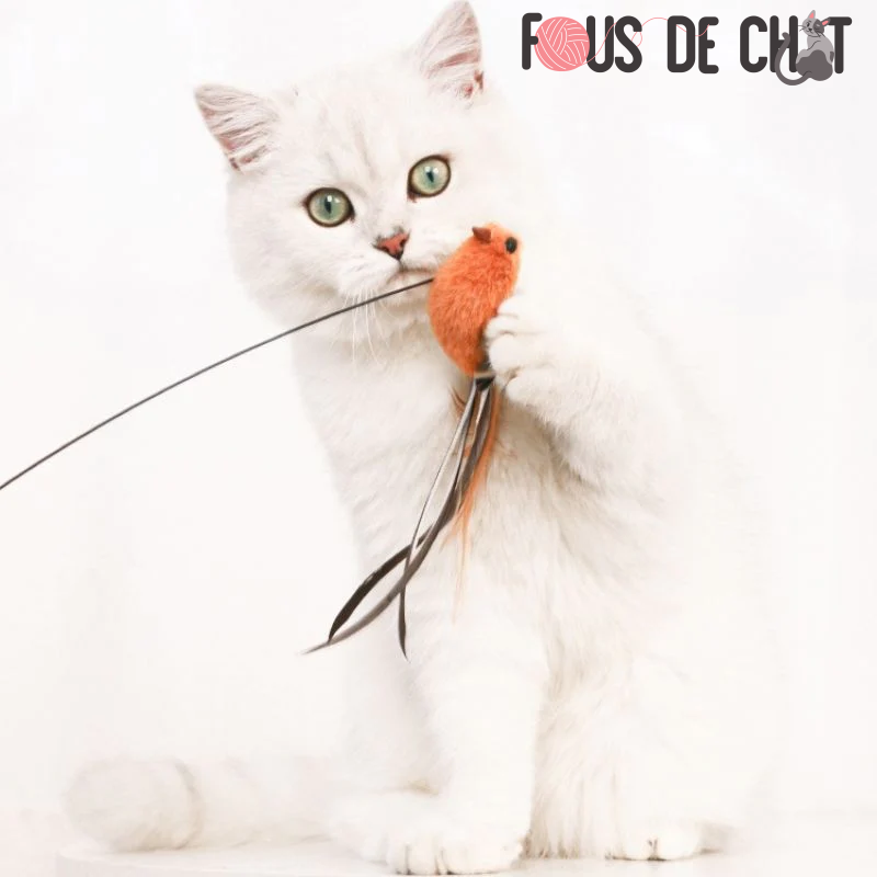 jouet-pour-chat-oiseau-orange