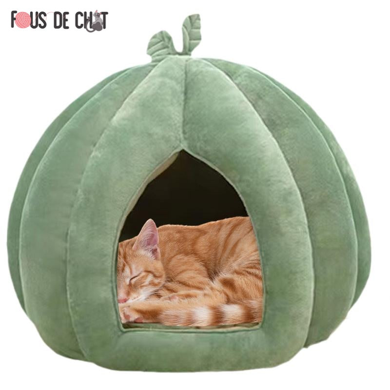 lit-pour-chat-citrouille-repos