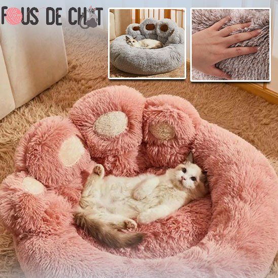 lit-pour-chat-design