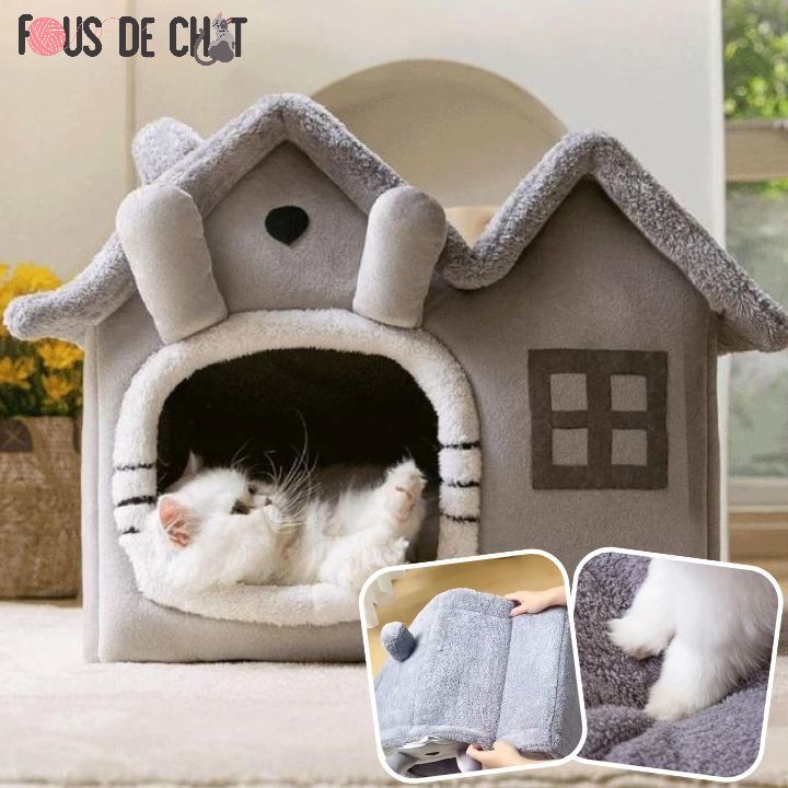 maison-pour-chat-refuge